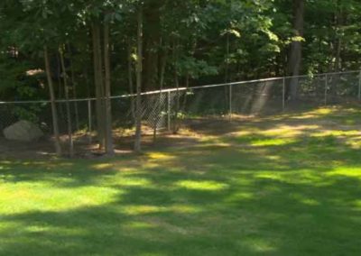 backyard chain link fence